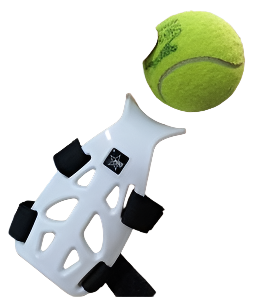 מתקן לאימון_6