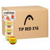 קרטון 16 מארזי 3 כדורי טניס הד – Head TIP Red