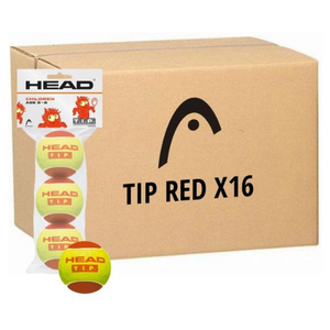 קרטון 16 מארזי 3 כדורי טניס הד – Head TIP Red