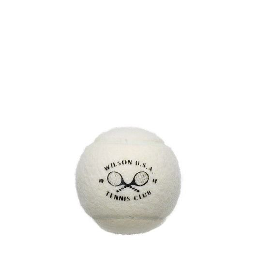 כדורי טניס | Championship Legacy 3 Ball Can